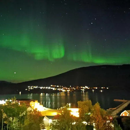 Koselig Overnattingssted Med Fjordutsikt 民宿