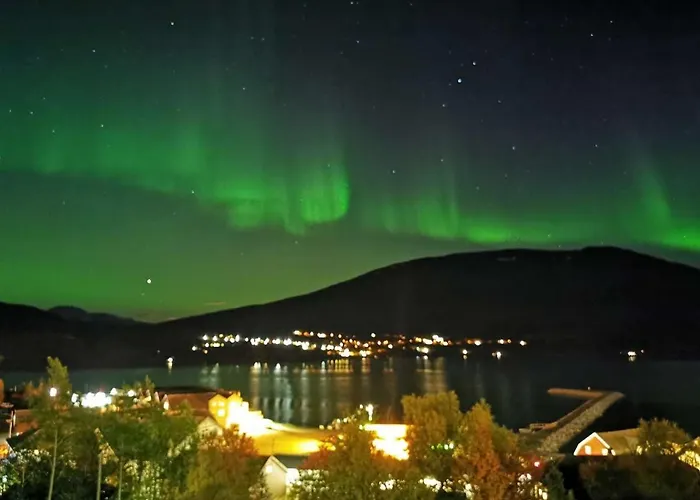 Koselig Overnattingssted Med Fjordutsikt Alloggio in famiglia